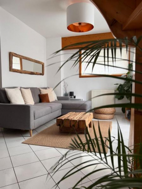 Appartement Spacieux au Pays du Mont-Blanc